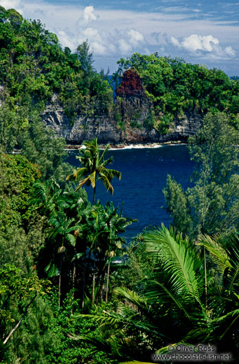 Coastline north of Hilo