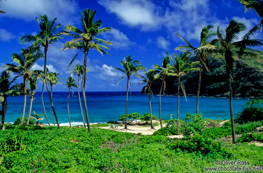 Makapuu Beach County Park on Oahu