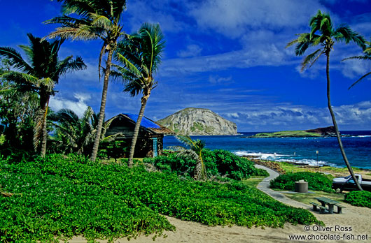 Makapuu Beach County Park on Oahu