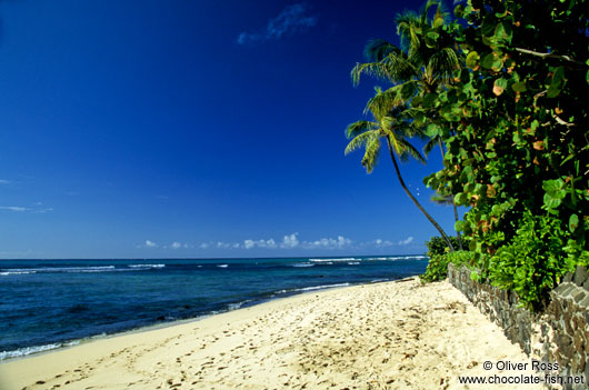 Beach near Honolulu