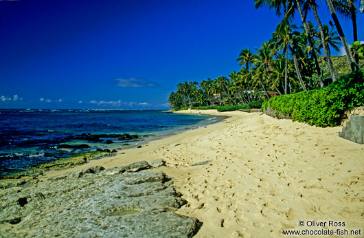 Beach near Honolulu