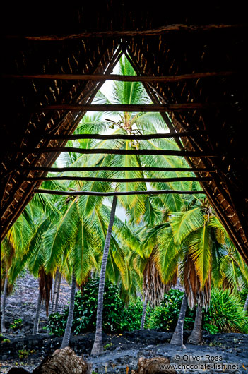 View from hut in Pu`uhonua o Honaunau Ntl. Historical Park