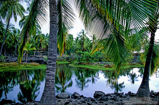 Pu`uhonua o Honaunau, Royal fish pond