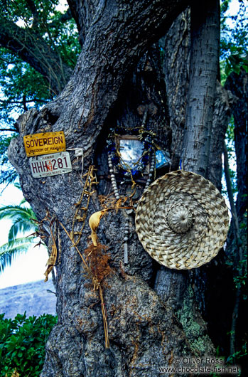 Shrine near Cpt. Cook Beach