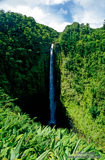 Tall waterfall on Hawaii Island