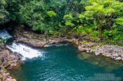 Travel photography:Tropical rainforest on the Big Island of Hawaii, Hawaii USA