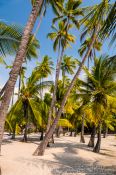 Travel photography:Huts in Pu`uhonua o Honaunau Ntl. Historical Park, USA