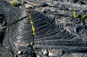 Travel photography:Cooled lava flow, Hawaii USA