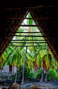 Travel photography:View from hut in Pu`uhonua o Honaunau Ntl. Historical Park, Hawaii USA