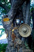 Travel photography:Shrine near Cpt. Cook Beach, Hawaii USA