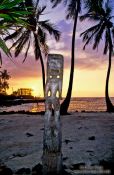 Travel photography:Tiki at Pu`uhonua o Honaunau during sunset, Hawaii USA