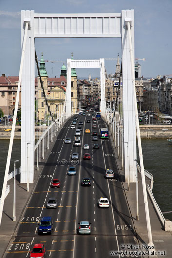 The Elisabeth Bridge in Budapest