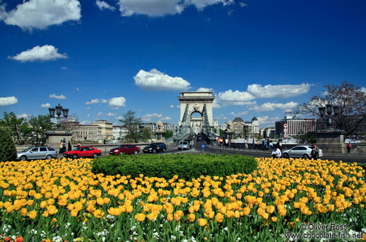 The Chain Bridge in Budapest with flower bed