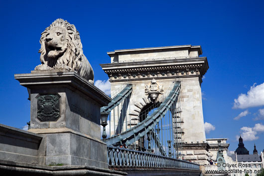 The Chain Bridge in Budapest with lion sculpture