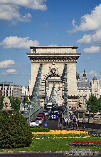 The Chain Bridge in Budapest with flower bed