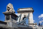 Travel photography:The Chain Bridge in Budapest with lion sculpture, Hungary