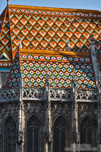 Roof detail of the Matthias Church in Budapest castle