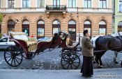 Travel photography:Budapest Fiaker , Hungary