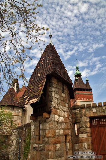 Inside Budapest´s Vajdahunyad castle 