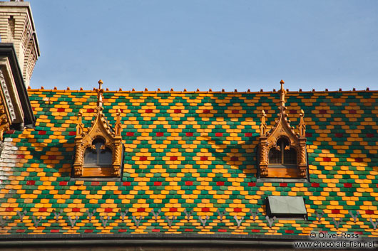 Roof detail of the Budapest market hall