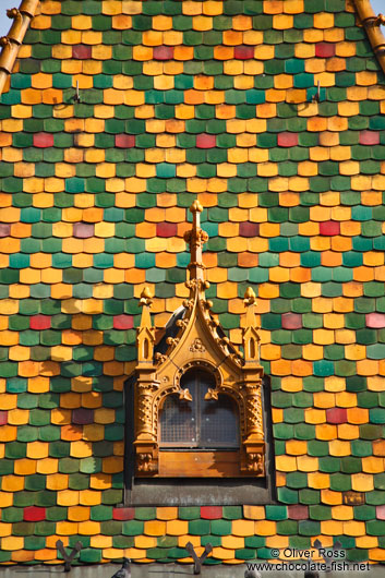 Roof tiles on and window the Budapest market hall