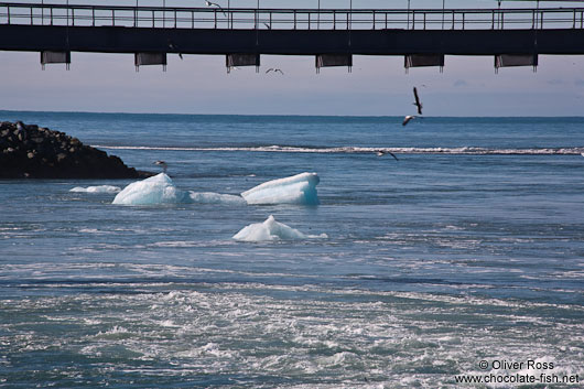 Icebergs floating to sea through the outlet of the Jökulsárlón