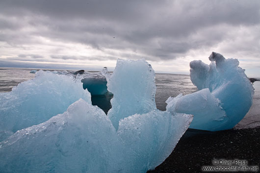 Icebergs washed up at the beach near Jökulsárlón