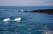 Travel photography:Icebergs floating to sea through the outlet of the Jökulsárlón, Iceland