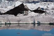 Travel photography:Gulls sitting on an iceberg in Jökulsárlón lake, Iceland