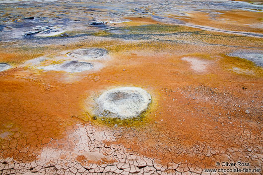 Small fumaroles in the geothermal area at Hverarönd near Mývatn