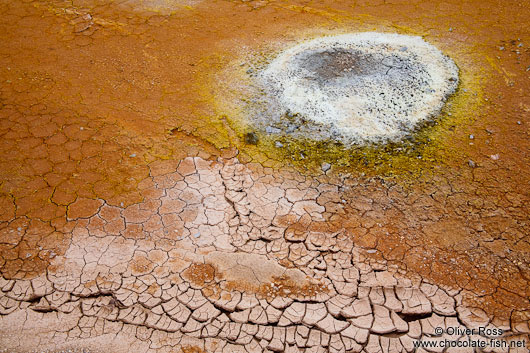 Small fumaroles in the geothermal area at Hverarönd near Mývatn