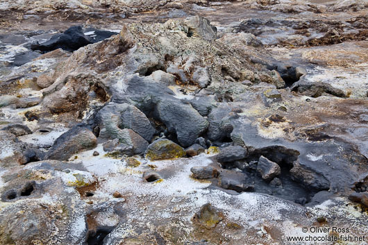 Fumarole at Hverarönd near Mývatn