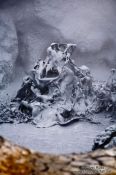 Travel photography:Boiling mud in the geothermal area at Hverarönd, Iceland