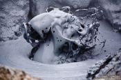 Travel photography:Boiling mud in the geothermal area at Hverarönd, Iceland