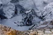 Travel photography:Boiling mud in the geothermal area at Hverarönd, Iceland