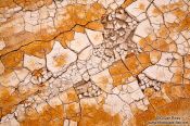 Travel photography:Cracked soil in the geothermal field at Hverarönd near Mývatn, Iceland
