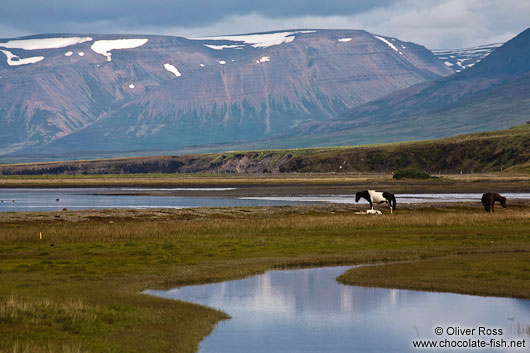 Sauðárkrókur landscape