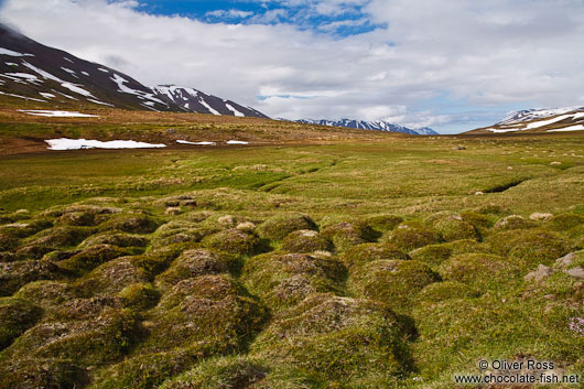 Landscape near Siglufjörður