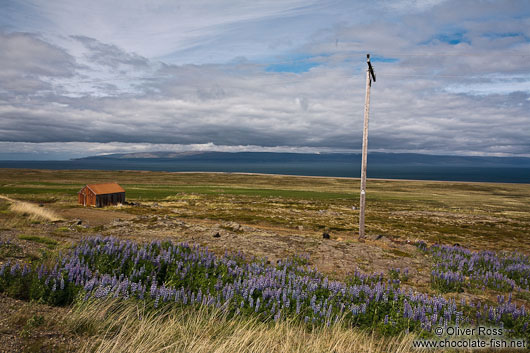 Landscape on the Skagi peninsula