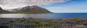 Travel photography:The fjord at Ólafsfjörður, Iceland