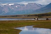 Travel photography:Sauðárkrókur landscape, Iceland