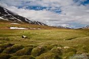 Travel photography:Landscape near Siglufjörður, Iceland