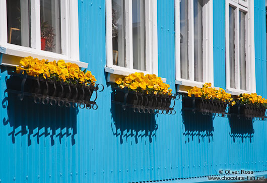 Blue facade in Reykjavik