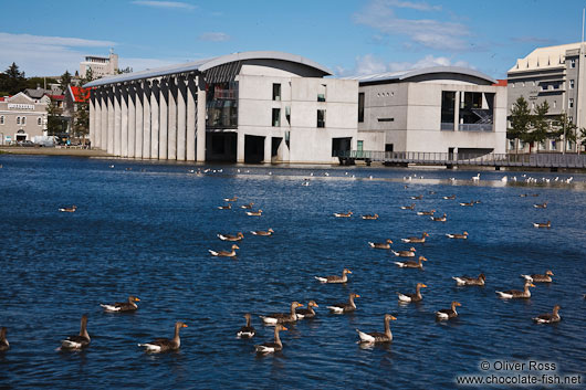Reykjavik city hall with a flock of geese on the city lake