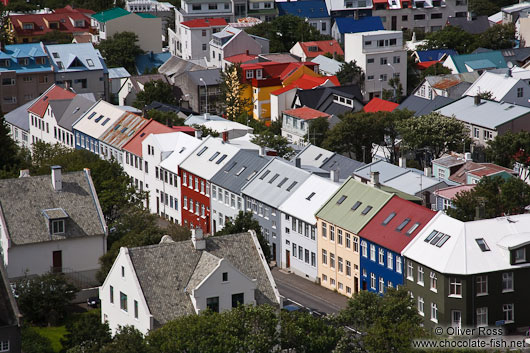 Reykjavik panorama