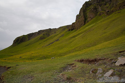 Vik mountains