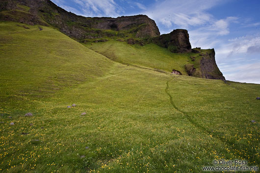 Vik landscape