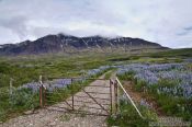 Travel photography:Breiðdalsvík landscape, Iceland