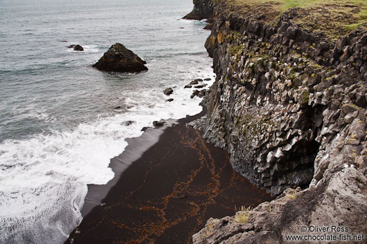 Arnarstastapi cliffs with seabird colony