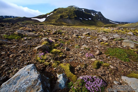 Mountain region near Snæfellsjökull volcano